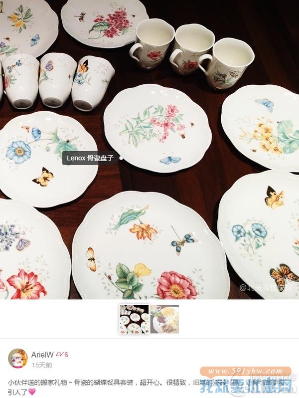 名瓷Lenox 蝶舞花香餐碟套装 18件+送2个马克杯 2种图案可选